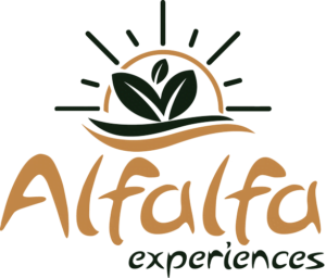 alfaalfa-b Alfalfa Expériences